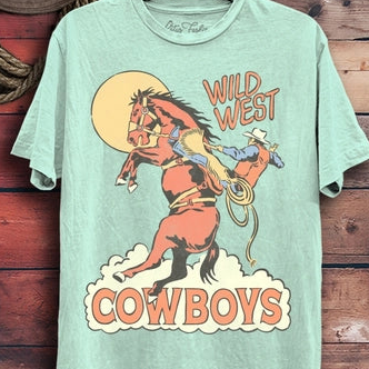 Wild West Cowboy